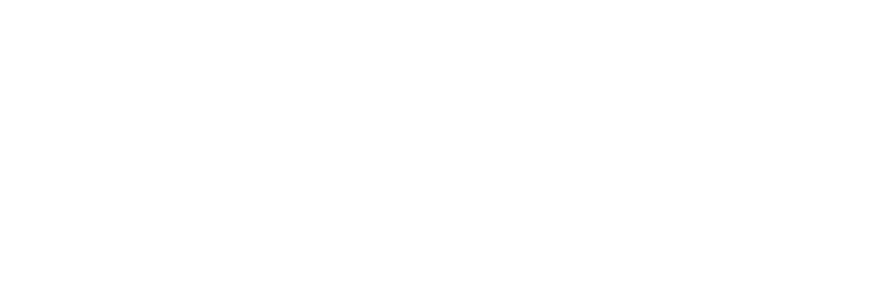 Capital One : Brand Short Description Type Here.